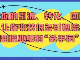 引爆流量翻倍业绩：3大杀手锏打造引流转化团队系统-54创业网