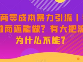 2023微商零成本暴力引流技巧：现在做微商还能赚钱吗？流量爆棚实操指南-54创业网
