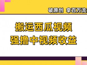 西瓜视频搬运赚钱：日赚600+原创玩法，百万流量揭秘-54创业网