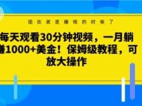 30分钟视频月赚1000美金：保姆级躺赚教程，可放大操作！-54创业网