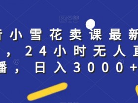 抖音无人直播卖课日赚3000：小雪花最新玩法24小时自动赚钱秘籍-54创业网
