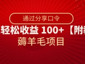 薅羊毛项目：分享口令日赚100+，附详细教程揭秘-54创业网