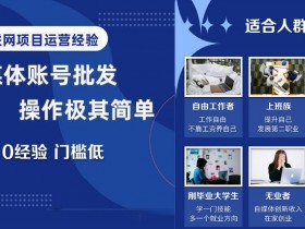 0基础新媒体账号批发：简单操作0经验，门槛低轻松上手-54创业网