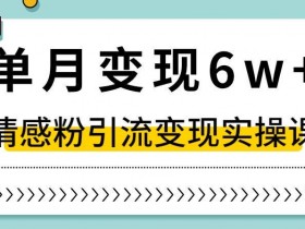 抖音情感粉变现课：单月6W+实操揭秘，小白轻松上手独家赛道-54创业网