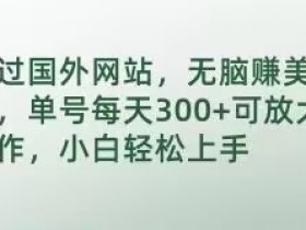 国外赚钱项目：每天300美金无脑操作，小白轻松上手可放大-54创业网