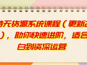 2023淘特无货源电商运营课程：零基础到精通，小白速成进阶指南-54创业网