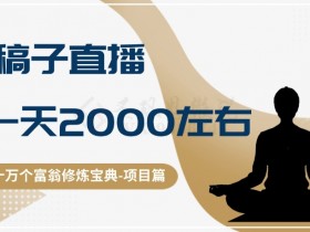 3天速成直播赚钱：念稿子日入2000的十万个富翁秘籍-54创业网