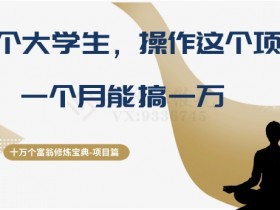 大学生月入1万实操项目：十万个富翁修炼宝典-54创业网
