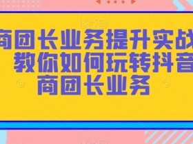 抖音招商团长业务实战：快速提升业绩的爆单技巧-54创业网
