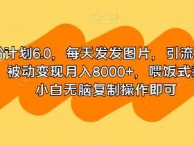 男粉计划6.0：发图引流精准男粉，被动变现8000+/月，小白无脑复制喂饭式教学-54创业网