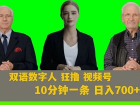 AI数字人视频号赚钱：日入700+教程附251G素材【揭秘】-54创业网