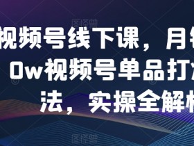 视频号线下课：月销3000w单品打爆玩法实操全解析，手把手教你爆款秘籍-54创业网