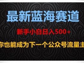 新手小白如何日入500+？揭秘公众号蓝海赛道赚钱秘籍-54创业网