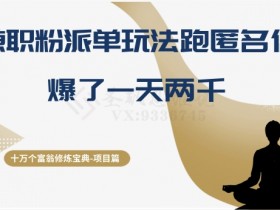 兼职粉派单日赚2000：匿名信暴利玩法，十万个富翁修炼宝典-54创业网