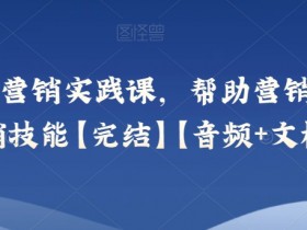 小马宋营销实践课：提升营销技能的实战音频课+文档【完结】-54创业网