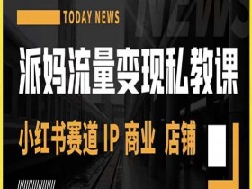 小红书IP变现课：派妈教你店铺引流与商业变现秘籍-54创业网