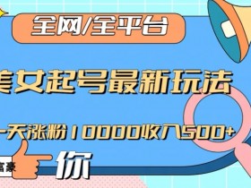美女起号秘籍：一天涨粉10000+赚500的全网爆款玩法大揭秘-54创业网