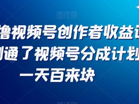 视频号分成计划赚钱课：实测日赚100+，手把手教你撸视频号收益-54创业网