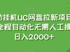 UC网盘拉新项目：全自动日赚2000+新玩法揭秘，0人工躺赚-54创业网