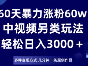 60天暴力涨粉60W：中视频另类玩法揭秘，日入3000＋原创变现技巧-54创业网