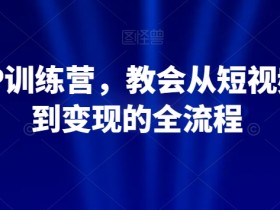 21天IP训练营：短视频制作到变现全流程教学，快速打造赚钱账号-54创业网