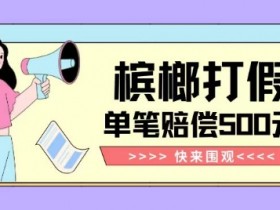 槟榔打假赔偿500元：独家揭秘简单操作有手就行纯绿色玩法-54创业网