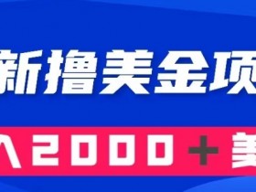 搬运国内爽文小说赚钱：复制粘贴轻松月入2000美金项目揭秘-54创业网