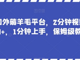 国外薅羊毛平台：2分钟赚50+，新手1分钟上手保姆级教程-54创业网