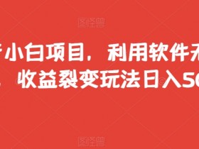 抖音搬运赚钱：小白无脑操作日入500+的收益裂变玩法大揭秘-54创业网