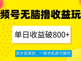 视频号赚钱秘籍：单日收益800+的原创玩法，一部手机轻松操作-54创业网