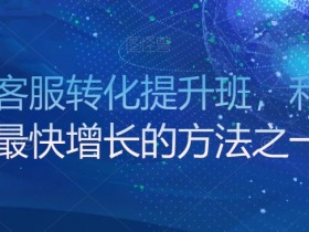 金牌客服转化提升班：快速提升利润率的实战技巧-54创业网