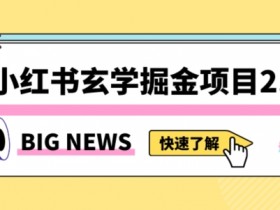 小红书玄学掘金项目：日入3000+的蓝海副业，附引流渠道实操揭秘-54创业网