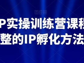 百万IP孵化实战课：从0到1打造爆款IP的完整方法-54创业网