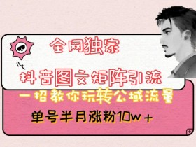 抖音矩阵引流秘籍：半月涨粉10w+的独家公域流量玩法大公开-54创业网