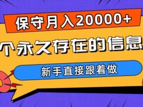 永久信息差项目揭秘：新手轻松月入2万+，跟着做就赚钱-54创业网