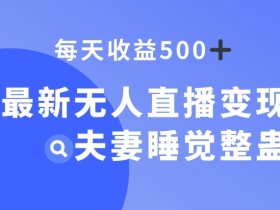 无人直播变现秘籍：夫妻睡觉整蛊躺赚500+日入技巧大公开-54创业网