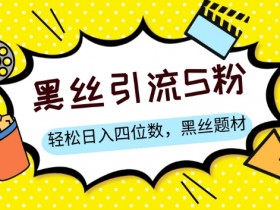 黑丝情感话术揭秘：S粉变现日入四位数，轻松赚钱攻略-54创业网