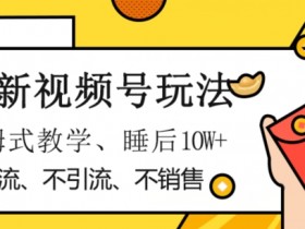 视频号赚钱秘籍：不卖货不引流，保姆教学躺赚1W+，新手必看！-54创业网