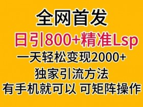日引800+老色批精准引流：独家矩阵玩法，1天变现2000+【实战揭秘】-54创业网