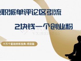 2元创业粉兼职派单引流：十万个富翁修炼宝典第11课-54创业网