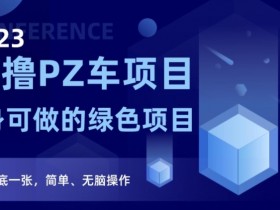 2023反撸PZ车项目揭秘：日赚保底一张的终身绿色副业，无脑操作教程-54创业网