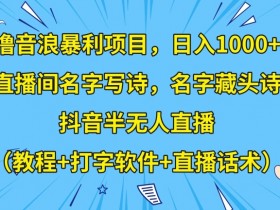 抖音半无人直播暴利项目：音浪撸金日赚1000+（含藏头诗起名/话术教程/打字软件）-54创业网