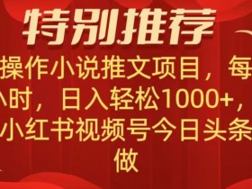 小说推文项目：无脑操作日赚1000+，抖音快手视频号小红书兼职攻略-54创业网