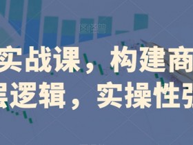 创业实战课：10步构建商业底层逻辑，手把手教你赚钱-54创业网