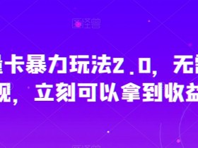 秒反流量卡2.0暴力玩法：当天提现秒到账，躺赚攻略大揭秘-54创业网