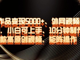 外网视频搬运二创：10分钟制作爆款高原创视频，单条变现5000+，小白可上手矩阵操作-54创业网