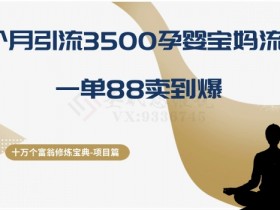 13.2个月引流3500孕婴宝妈：一单88元卖爆的十万个富翁修炼宝典-54创业网