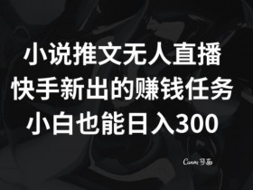 快手小说推文无人直播赚钱：小白日入300+新任务揭秘-54创业网