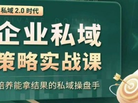 私域2.0实战课：企业私域策略与操盘手培养，快速提升转化变现-54创业网