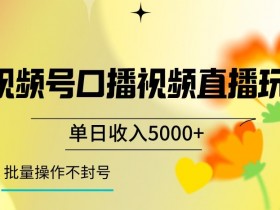视频号直播赚钱秘籍：单日收入5000+的囗播玩法，批量操作不封号技巧大公开-54创业网